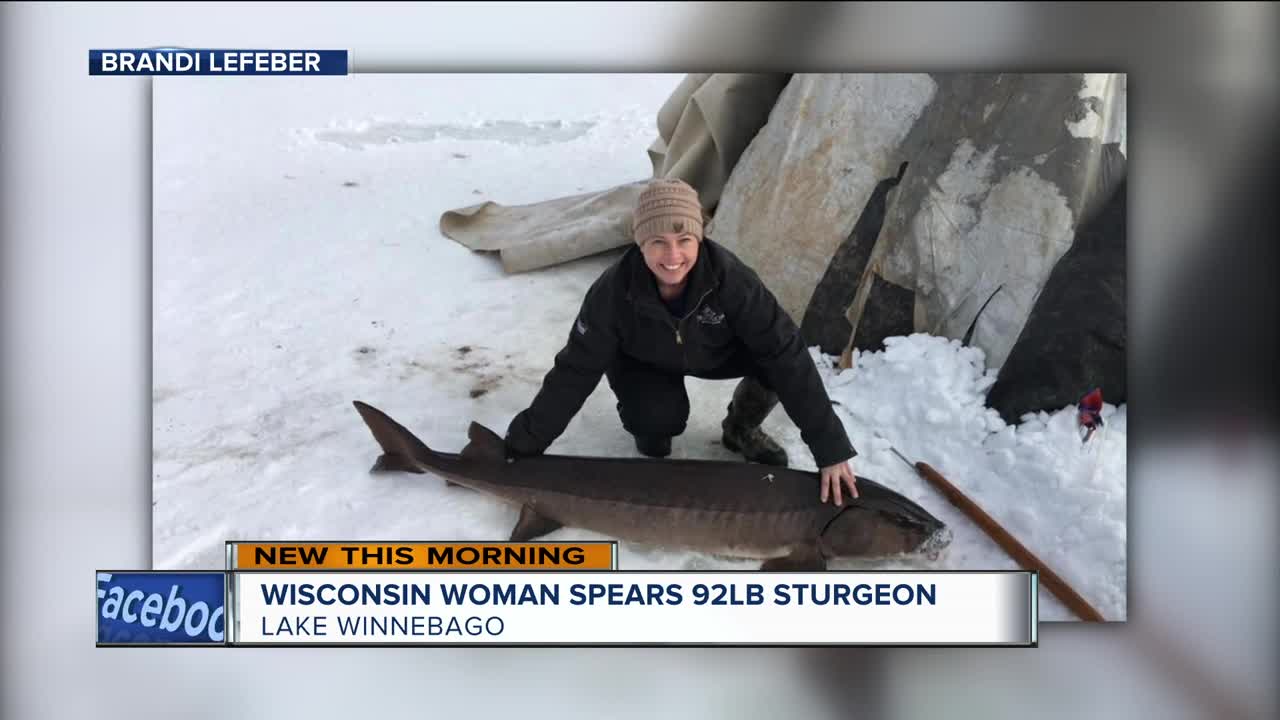 'I screamed': Wisconsin woman described spearing 92-pound sturgeon