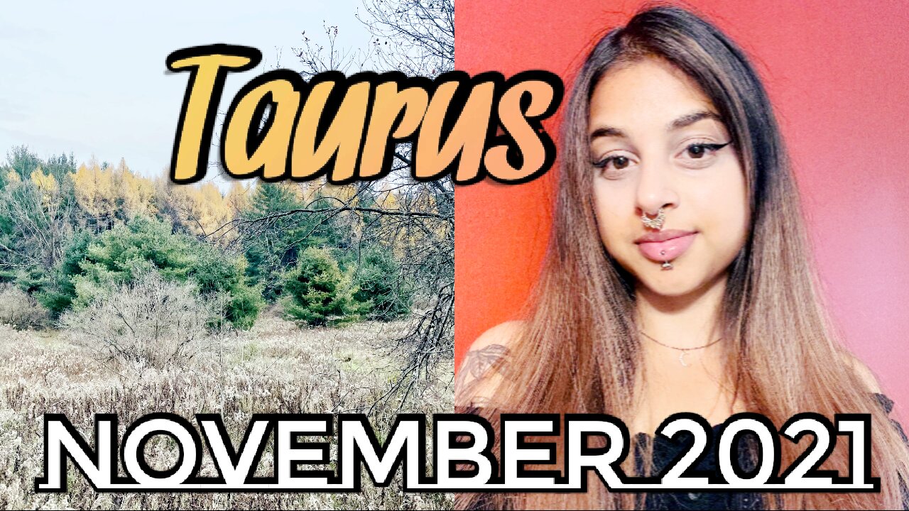 Taurus November 26-28 2021| Incoming Inspiration & Insight- WEEKEND Tarot