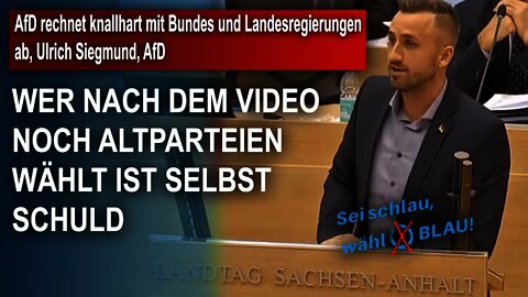 AfD rechnet knallhart mit Bundes und Landesregierungen ab, Ulrich Siegmund, AfD