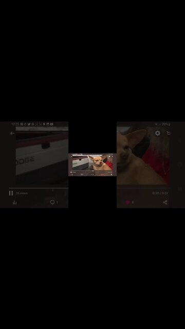 The pedo Bandit and his Mutt appear on the news. #pedotruckers #1777rm