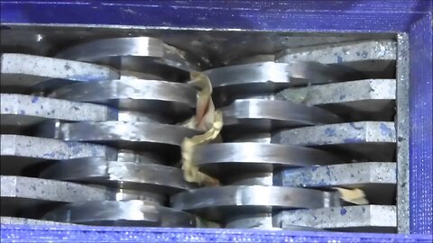 Shredding real money. ( read description )