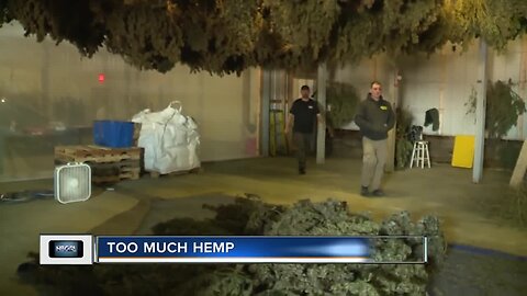 Dept. of Agriculture claims 94% of the state's hemp hasn't sold