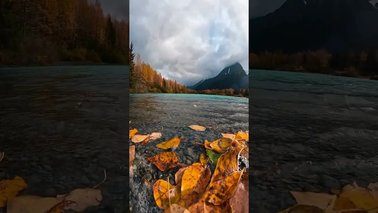 Canada 🇨🇦 #viral #foryou #canada #beautifulnature #youtubeviralvideo #@Mixhub596
