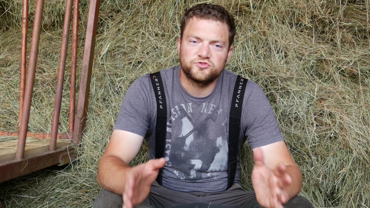 Q&A | What Am I Doing With My Cows??