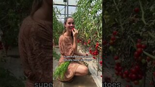 Day in my life - visiting the local produce farm & spring water facility.🌱💙🙏😚 #vlog #organic #f