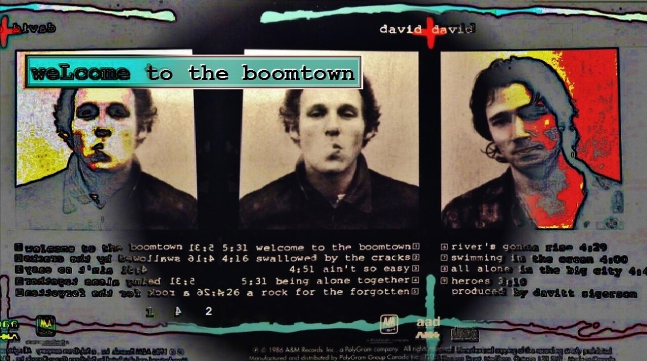 welcome to the boomtown, david + david