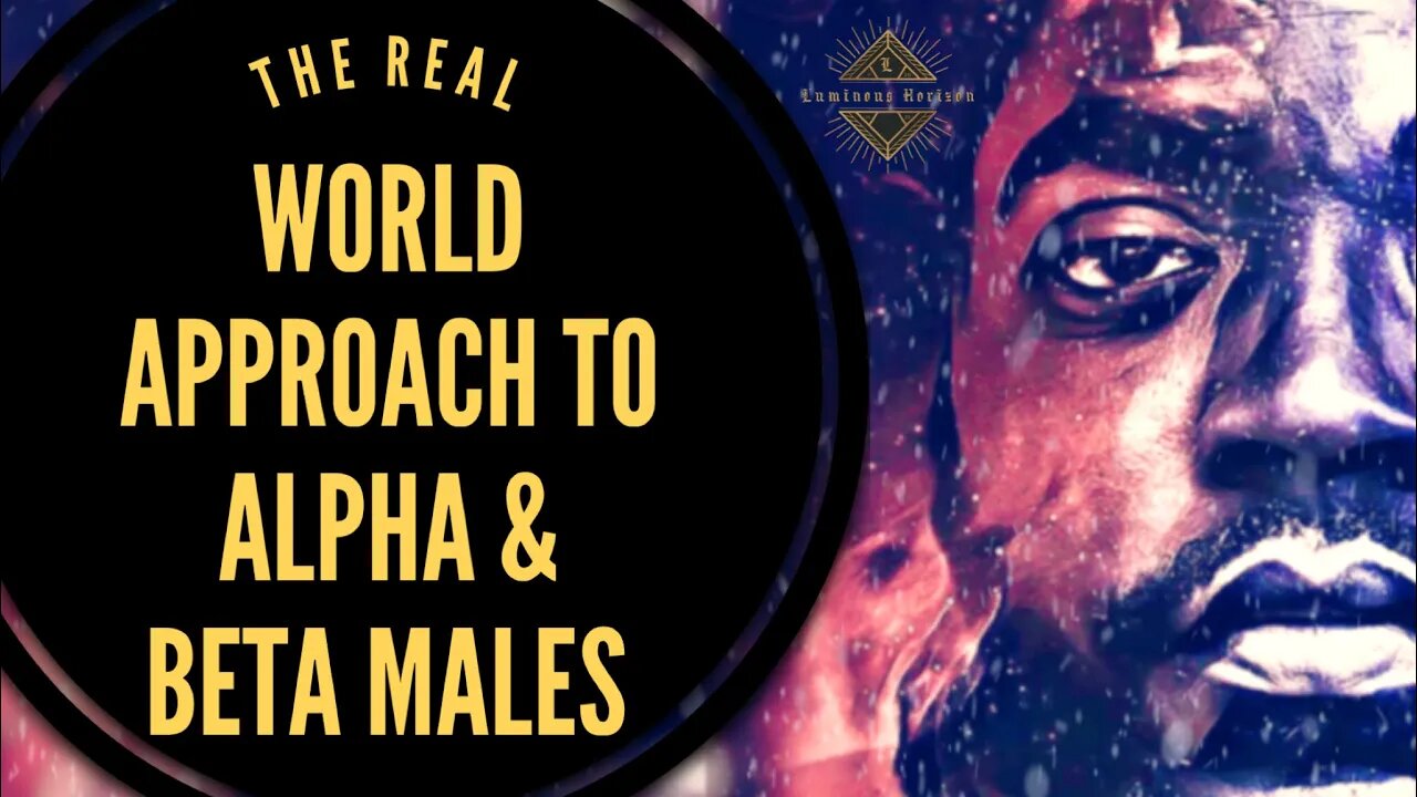 P-84 | The REAL WORLD approach to Alpha & Beta Men