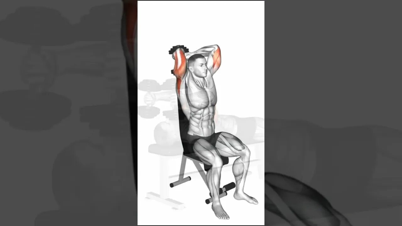 The 3 Best Triceps Exercises with Dumbbells! Make your arms bigger!