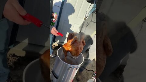 Checking the Turkey.