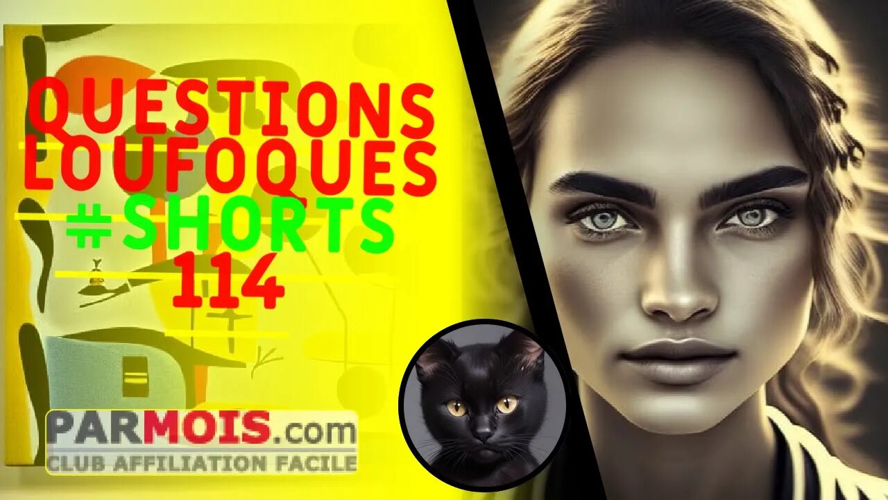 Questions Loufoques #shorts 114