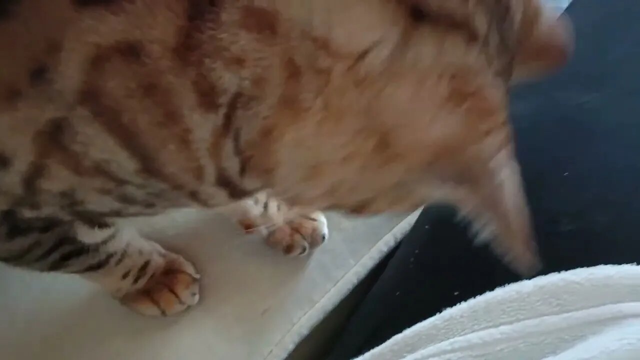 He really wants it...