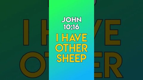 I Have Other Sheep - John 10:16