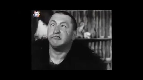 3 Stooges Bangla Dubbing 1080p Original audio