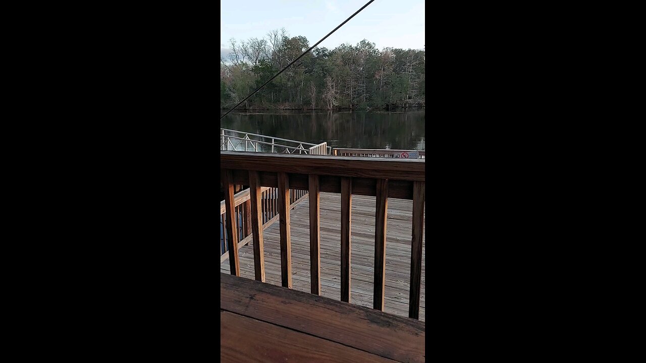 My view for last night's dinner.
