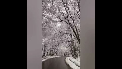 music that will heals your body and soul/healing music