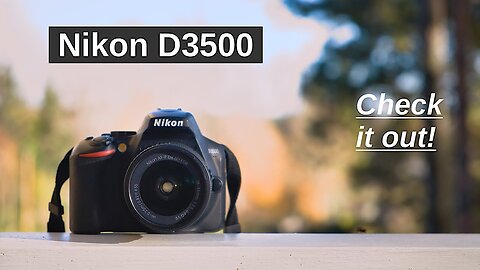 Nikon D3500 in 2023 | Watch Before You Buy