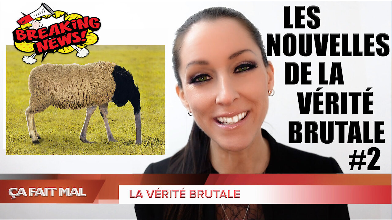 Les Nouvelles de la VÉRITÉ BRUTALE #2