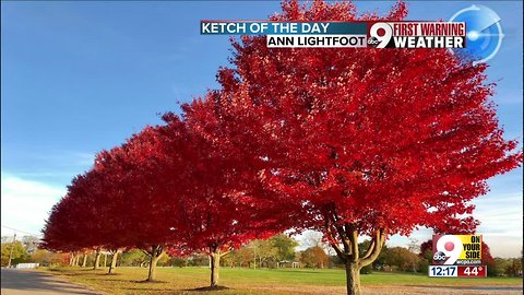 Where you can see the best fall colors in the Tri-State