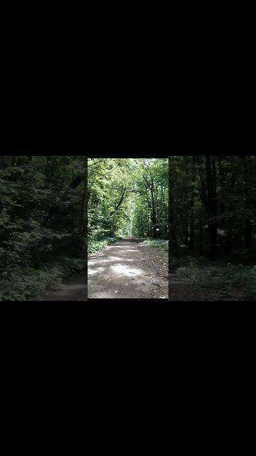 BANEASA Forest - Trailer, Bucharest - Ilfov | 4k Virtual Tour | #shorts