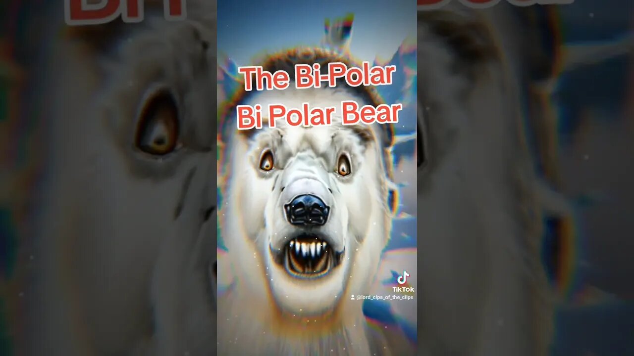 The Bi-Polar Bi Polar Bear 🐻❄️ #polarbear #bipolar #bi