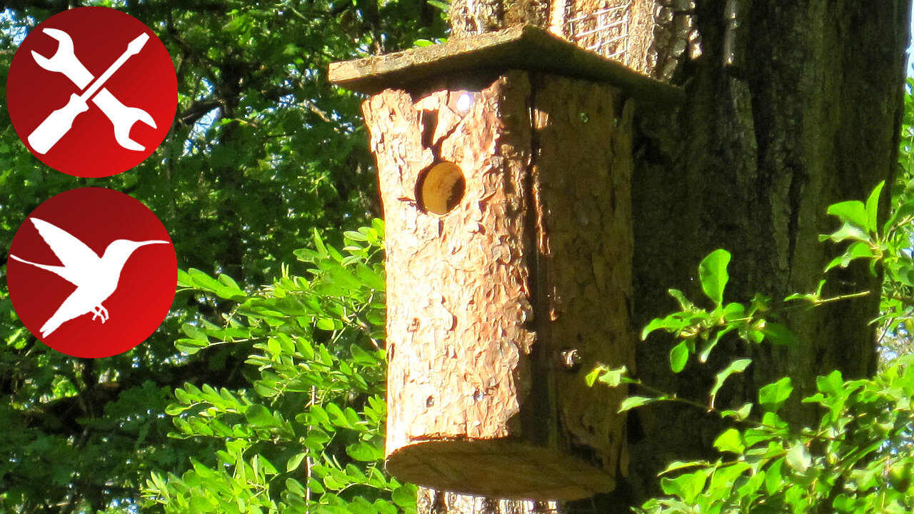 Log birdhouse - DIY step by step