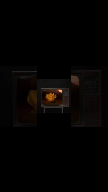 Fold comes out tomorrow on all streaming platforms!