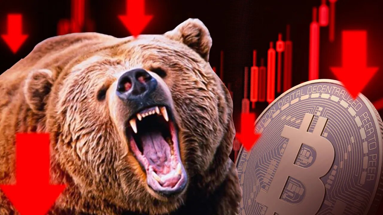 How Can The Crypto Bear Market Get You Rich in 2023?