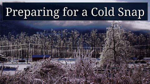 Preparing for a Cold Snap