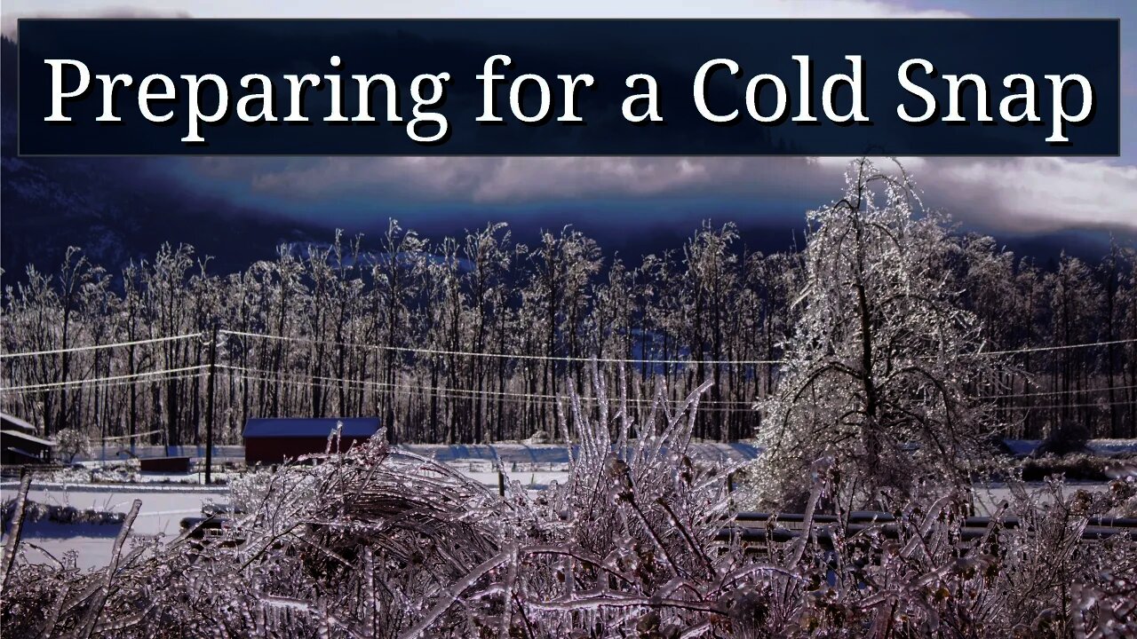 Preparing for a Cold Snap