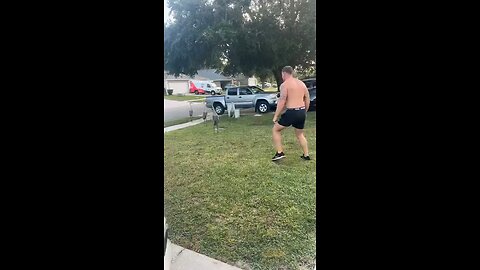 "Just A Normal Day In Florida Follow For More Videos Have Trending reels"...!!