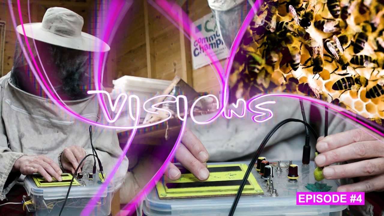 Visiones: El apicultor