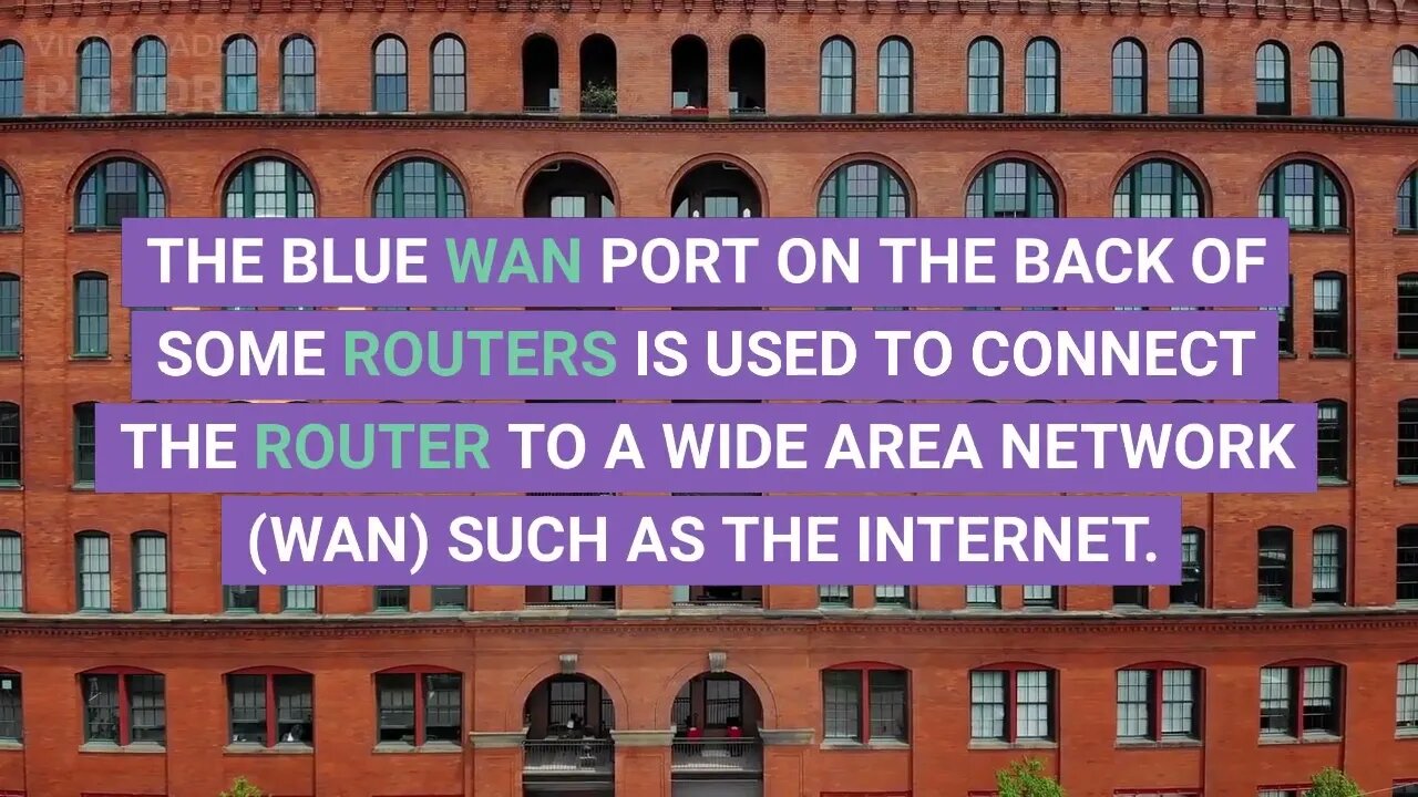 What is the purpose of the blue WAN port on the back of touters | COFFEE BREAK VIDEO CHANNEL