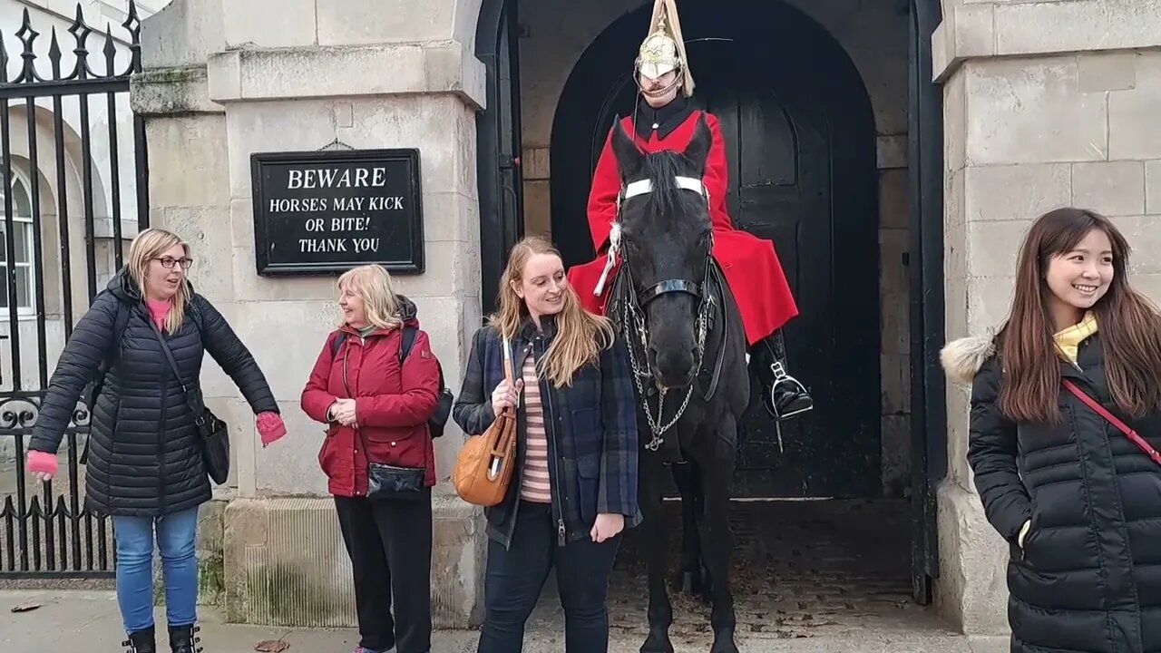 The Horse is OK with some tourist but not others (bite) #thekingsguard