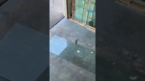 My emotions after one mean comment