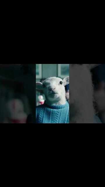 OS TRÊS TIPOS DE CINEMA | SOFOCINE: FILOSOFIA E CINEMA #shorts