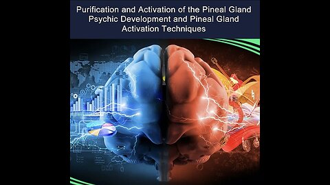 Pineal Gland Overview 🔍