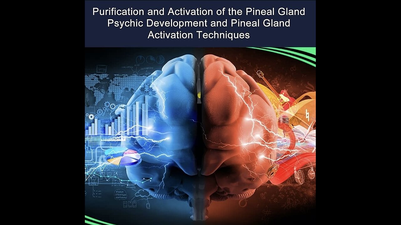 Pineal Gland Overview 🔍