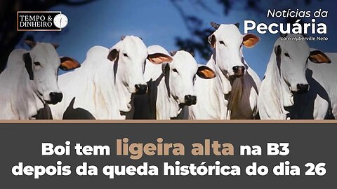 Boi tem ligeira alta na B3 depois da queda histórica do dia 26. O que vem pela frente?