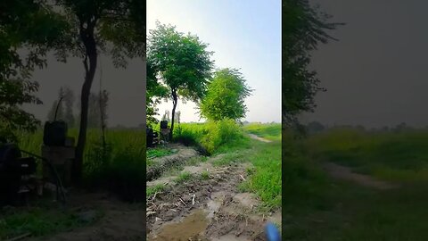 farmer life in punjab Pakistan