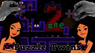 2 For One - Puzzle Twins