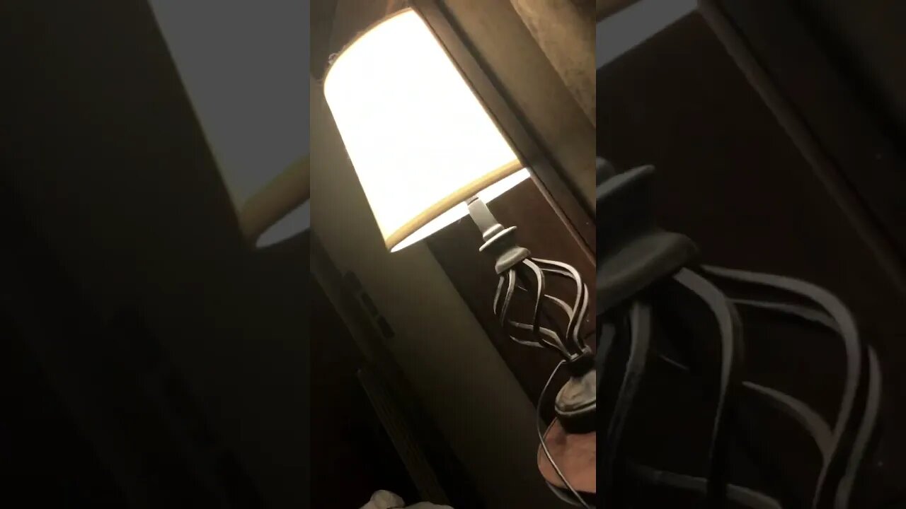 Sleeping in My RV Tonight with My Dog