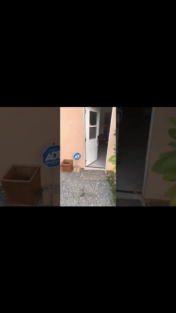 Wild patriots interrupt filming