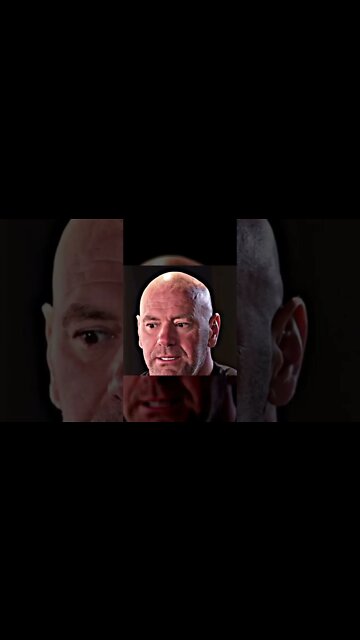 Khamzat ⚖️ 170 Dana White