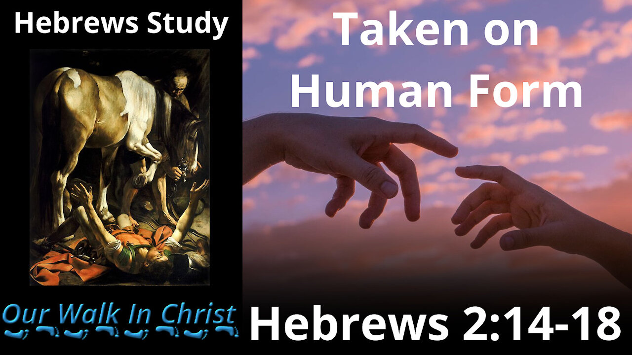 Taken On Human Form | Hebrews 4