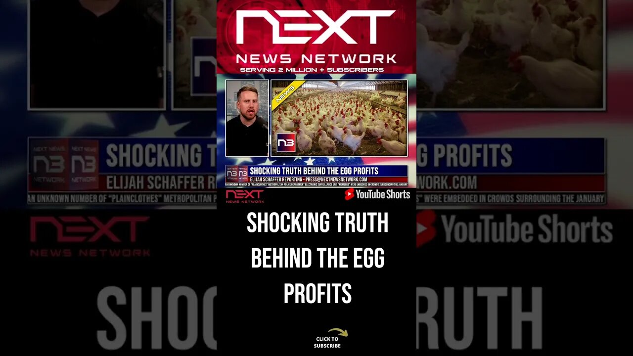 Shocking Truth Behind the Egg Profits #shorts