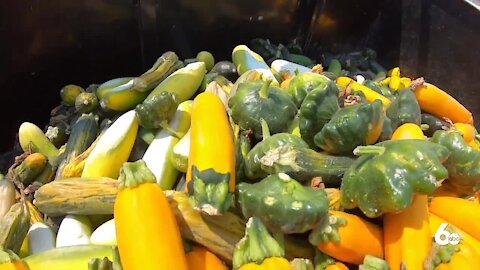 Idaho farmers feeling the impacts of heatwave