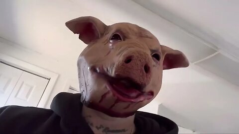 Piggy has a message If you would like to donate to the show :https://cash.app/$billstaxx2021
