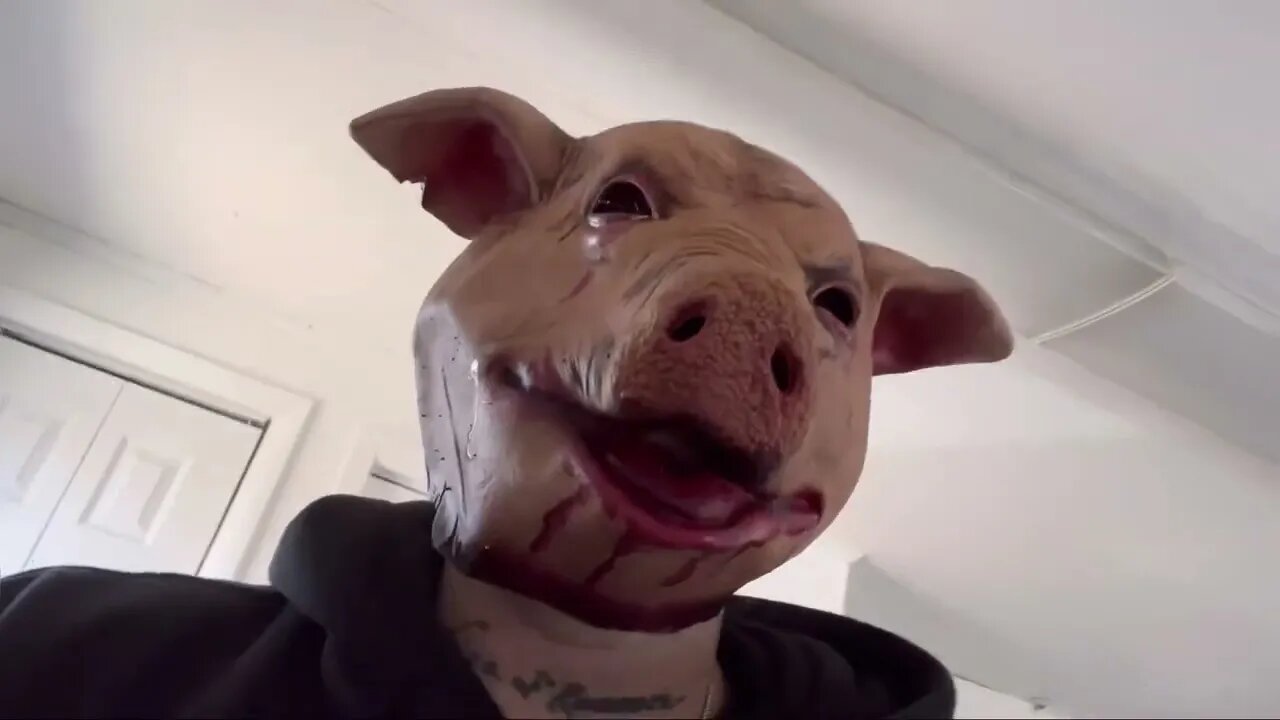 Piggy has a message If you would like to donate to the show :https://cash.app/$billstaxx2021