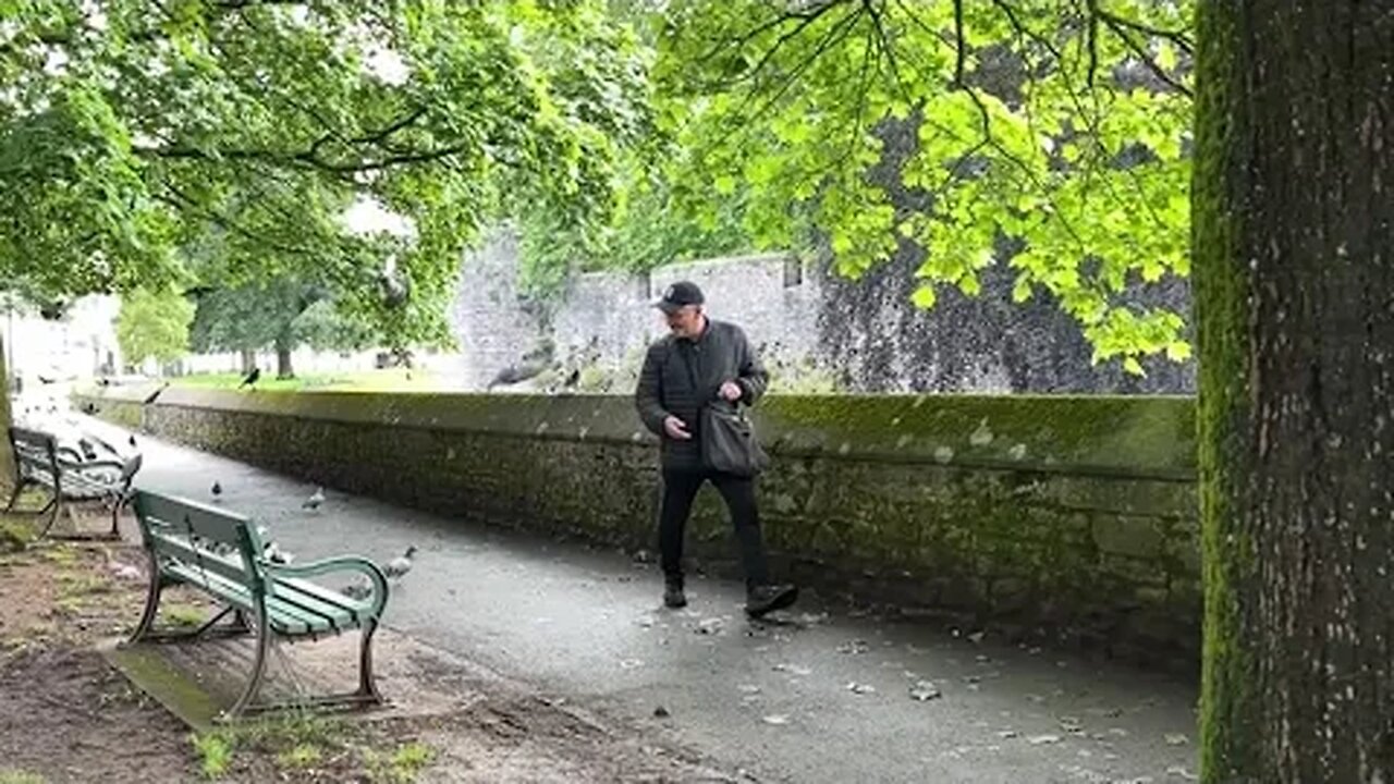 The Birdman of Wells
