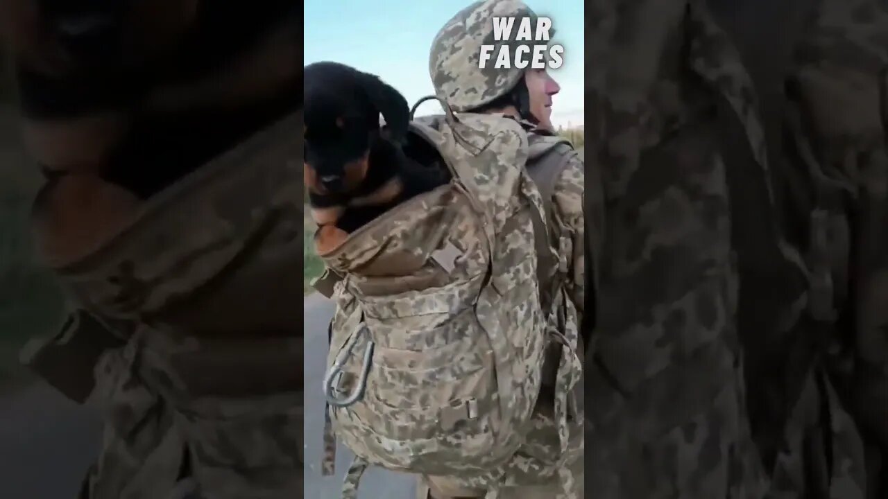 Defenders of Ukraine and their furry friends! ❤❤❤